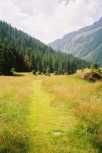 Chemin entre Vallorcine et le Buet